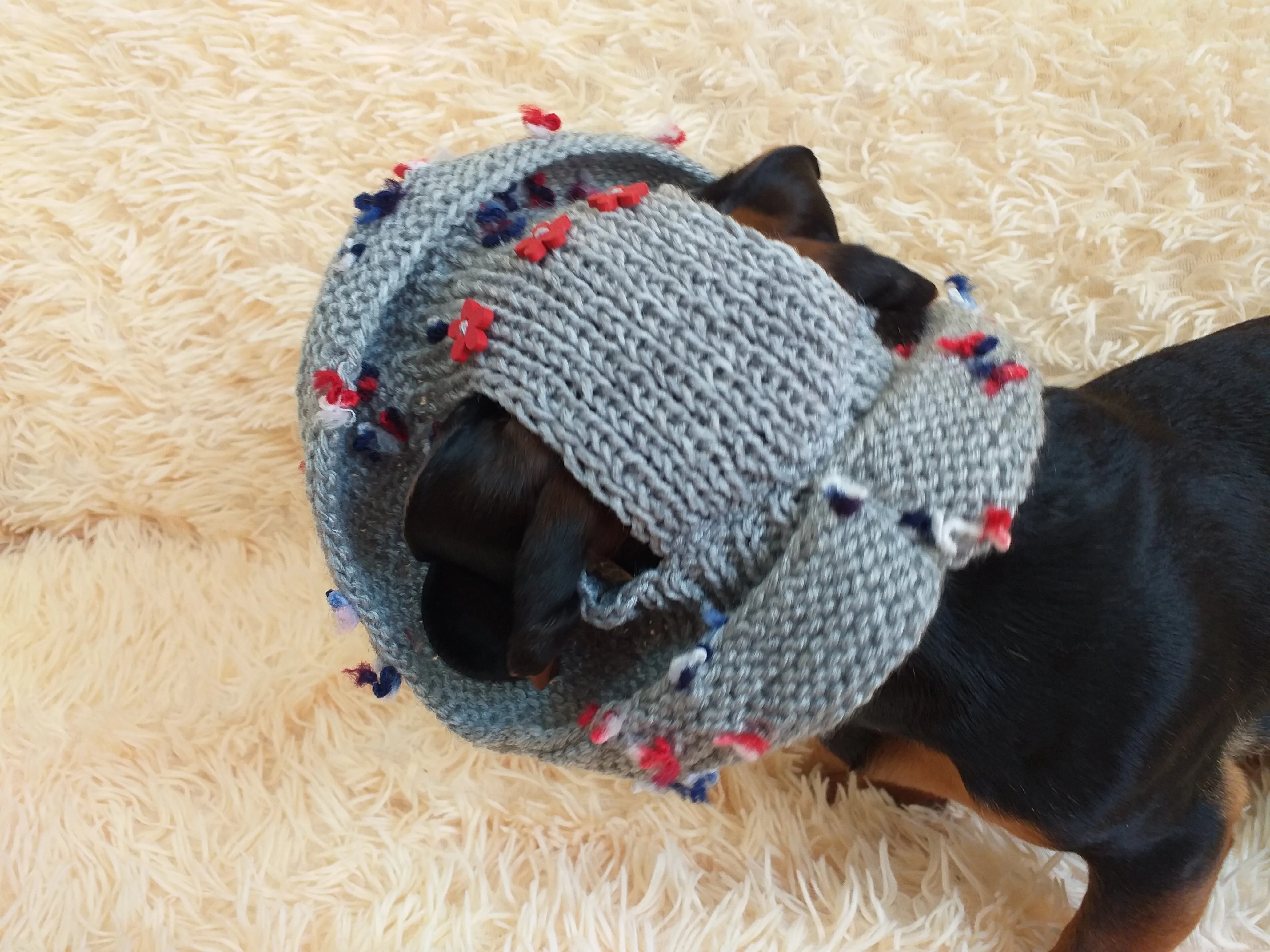 Summer hat for dog with flowers, summer hat with flowers for a dachshund or small dog